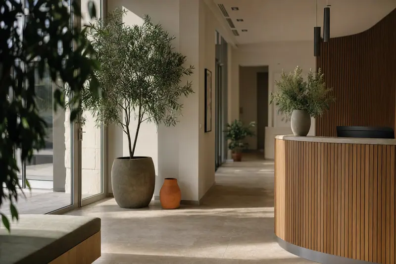 Hall lumineux d'un immeuble de bureaux moderne au Mans, sol en pierre claire, plantes vertes, lumière du matin